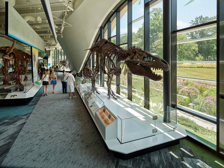 CMNH visitor hall.